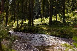 skön landskap fors på en bergen flod i solljus. filtrerades bild färgrik effekt. foto