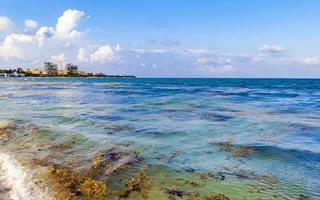 tropisk karibiska strand vatten tång sargazo playa del carmen Mexiko. foto