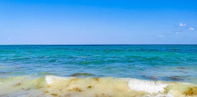 tropisk karibiska strand klar turkos vatten playa del carmen Mexiko. foto