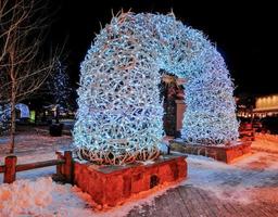 hjorthorn valv i Jackson hål, wyoming foto