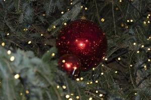 gata jul träd dekorationer och lampor foto