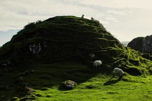 fe- dalgång, skottland foto