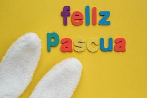 lycklig pascua, Lycklig påsk på spanska färgad text och vit kanin päls öron på gul bakgrund. Semester vår sammansättning kreativ begrepp. vykort, baner, affisch aning. topp se, flatlay foto