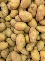 potatis bruka lantbruk bakgrund brun mat färsk grupp naturlig organisk foto