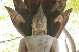 buddha staty i thailand tempel foto