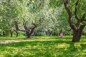 förtjusande liten flicka med sugrör korg i blomstrande äpple fruktträdgård foto