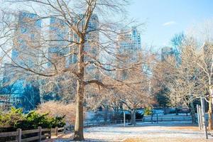 skön central parkera i ny york stad foto