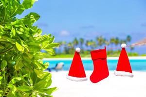 röd santa hattar och jul strumpa hängande på tropisk strand mellan handflatan träd foto