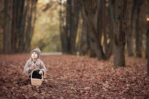 förtjusande liten flicka med en korg utomhus på skön höst skog foto