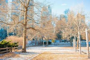 skön central parkera i ny york stad foto