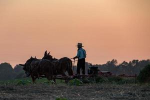 amish medan jordbruk med hästar på solnedgång foto