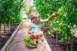 den söta lilla flickan samlar skördegurka och tomater i växthus foto
