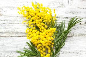 gren av gul vår blommor mimosa på vit trä- bakgrund med copy foto