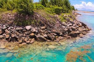 turkos exotisk lagun med stor stenar på Seychellerna foto