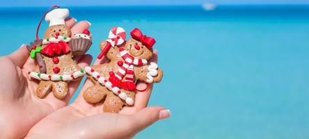 jul pepparkaka småkakor i händer mot de turkos hav foto