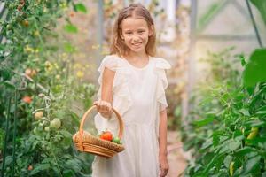 förtjusande flicka skörd gurkor och tomater i växthus. porträtt av unge med korg med grönsaker foto