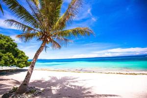 perfekt vit tropisk strand på ett exotisk ö foto