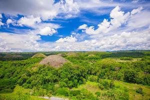 grön ovanlig choklad kullar i bohol, filippinerna foto