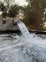 bevattning vatten strömma från rör till kanal för lantbruk fält foto