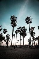 Venedig Beach, La foto