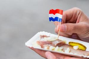 gott färsk sill med lök och Nederländerna flagga på de vatten kanal bakgrund i amsterdam. traditionell dutch mat foto
