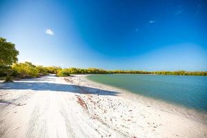 tropisk folktom perfekt strand på exotisk ö foto