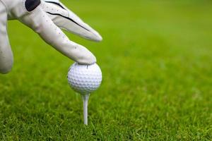hand placering golfboll på tee över golf kurs med grön gräs foto