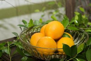 en korg med färska apelsiner i naturen foto