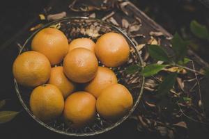 en korg med färska apelsiner i naturen foto