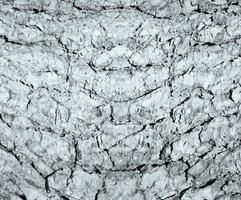 abstrakt sten textur bakgrund foto