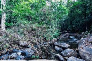 skog i khao chamao vattenfall nationalpark