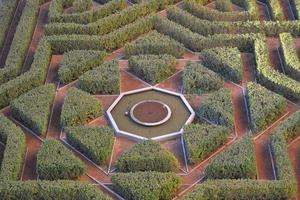 grön triangulär trädgård foto