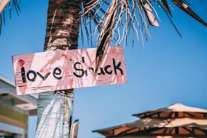 kärlek shack tecken på en palm foto