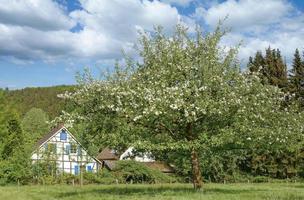 springtime i bergisches land, norr Rhen Westfalen, Tyskland foto