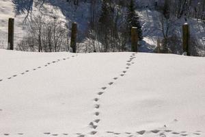 vinter- landskap i österrikiska alps foto