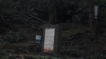 mystisk sten historisk monument i de skog foto