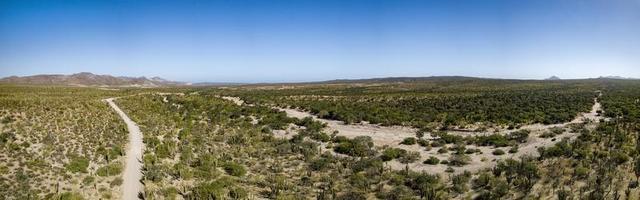 baja kalifornien sur mexico antenn se foto