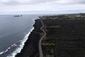 pico ö azorerna vingård vin vindruvor skyddade förbi lava sten antenn se foto