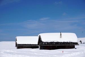 trä stuga hydda i de vinter- snö bakgrund foto