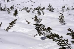 lavin snö glida i dolomiter bergen foto