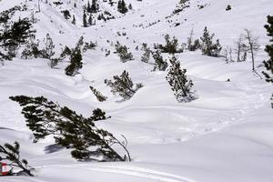 lavin snö glida i dolomiter bergen foto