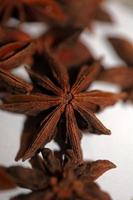 brun frukt stänga upp botanisk bakgrund illicium verum familj schisandraceae stjärna anis med frön hög kvalitet stor storlek skriva ut foto