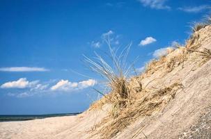 dyn på de strand av de baltic hav med dyn gräs. vit sandig strand på de kust foto