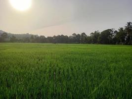 skön naturlig landskap under de dag, de himmel är blå, de moln foto