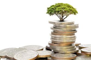 pålar av mynt och träd på vit bakgrund, ekonomisk tillväxt begrepp foto