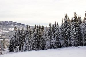 skön norska vinter- landskap från åka skidor backe på dal av hemsedal buskerud norge, säsongsbetonad vykort, tapeter, tryck för duk, omslag design foto