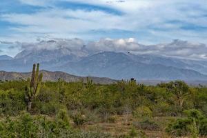 sierra de la laguna baja kalifornien sur foto