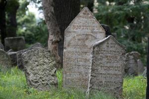 jewish gammal kyrkogård i prag foto