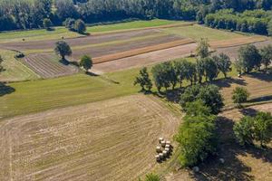 mogna vete odlat fält antenn Drönare panorama foto