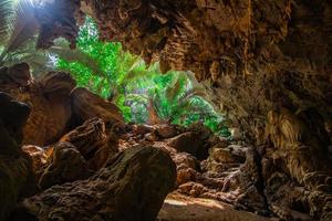 landskap av grotta och träd hup pa tat, uthai än mig, thailand foto